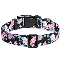 Suredoo Adjustable Dog Collar with Patterns, Ultra