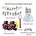Harry Potter Happy Birthday Banner Harry Potter Big Cake Topper Party Supplies Kit, Kids Happy Birthday Harry Potter Themed Party Favors Set