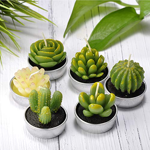 image for LA BELLEFÉE Cactus Tealight Candles, Decorative Delicate Succulent Ha