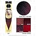 Innocence EZBRAID (PRE-STRETCHED BRAID - #T1B/900 Off Black/Burgundy) 20