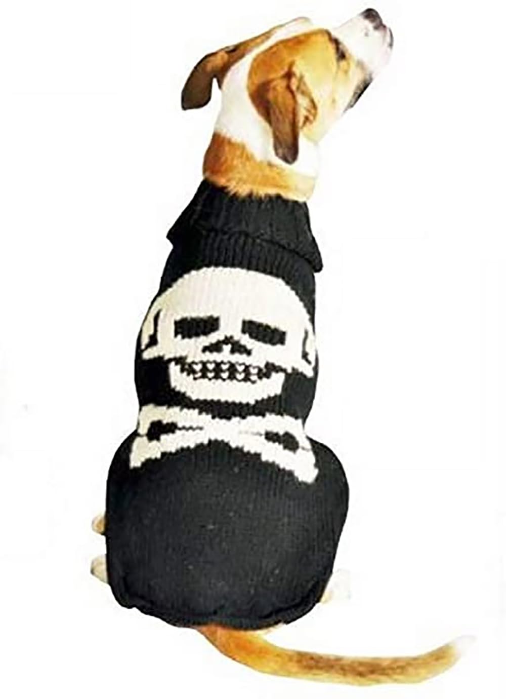 Chilly Dog Skull Sweater, 3X-Large, Black