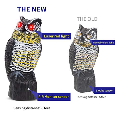 Thanos Fake Owl Decoy Scare Birds Away Solar Pigeon Woodpecker