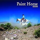2020 Paint Horse Calendar by