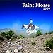 2020 Paint Horse Calendar by
