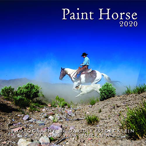 2020 Paint Horse Calendar by 