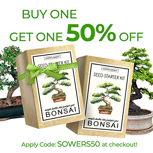 1 Complete+Starter+Beginner+Miniature+Biodegradable