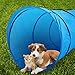 Tobbi Agility Pet Tunnel Training Toy Open Equipment Dog Outdoor Obedience Exercise