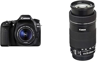 Canon SLR Camera EOS 80D + EF-S 18-55mm STM & 55-250mm Lens & 300DG Bag (Renewed)