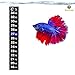 MARIMO PET STORE SunGrow Betta Sticker Thermometer, Ensure Optimum Comfort Around 78 Degrees, Accurately Measures Temperature, Large Fonts for Quick Reading, 1-Minute to Set-up