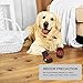 Petacc Dog Boots Water Resistant Dog Shoes and Protect Paws with Soft Nonslip Soles 4 Pcs in Size 8Red
