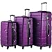 Merax Afuture 3 Piece Set Lightweight Luggage Spinner Suitcase (Purple)