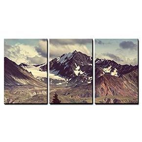 Mountains in Alaska x3 Panels
