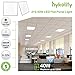 2x2 FT 2 Pack White LED Flat Panel Troffer Light, 40W 4000K Recessed Edge-Lit Drop Ceiling Light, 4600lm Lay in Fixture for Office, 0-10V Dimmable, 2-Lamp T8 Fluorescent Replacement for Office