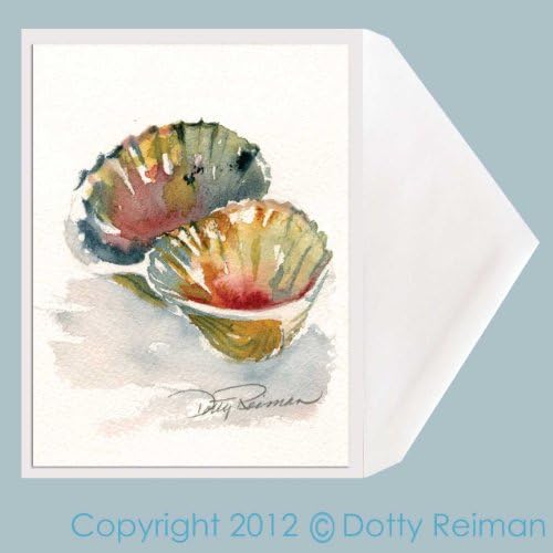 Seashell Greeting Cards - Set of 5 greeting cards by Dotty Reiman - Blank on inside - Free Standard Shipping