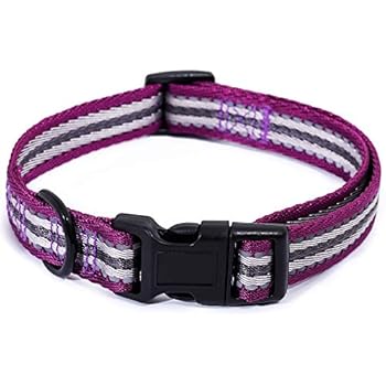 Mile High Life Night Reflective Five Stripes Nylon Dog Collar (Purple, Small Neck 12