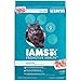 IAMS PROACTIVE HEALTH Indoor Weight and Hairball Care Dry Cat Food 10.8 Pounds