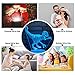 YeeSeeJee Dinosaur Toys Night Lights for Kids with 16 Colors Adjustable Remote & 7 Colors Dimmable Touch Velociraptor Dinosaur Gifts for Boys Age 2 3 4 5 6 7 8 Year Old Boy Gifts (Velociraptor 16CW)