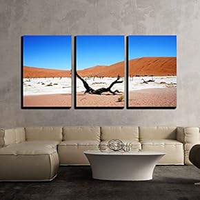 3 Piece Canvas Wall Art - Dead Vley in Namibia - Landscape with Sossusvley Desert - Modern Home Art Stretched and Framed Ready to Hang - 16"x24"x3 Panels