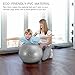 Sportneer Excercise Ball Anti-burst Dual-sided Balance Yoga Ball with Pump, Massage Ball, Workout Guide and Carrying Bag, Silver, 65cm
