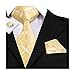 Hi-Tie Silk Woven Designer Yellow Mens Necktie Handkerchief Cufflinks Set Formal
