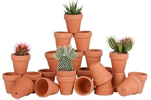 FCFKUK 36pcs Small Mini Clay Pots, 2.5inch Terra Cotta Pot Clay Ceramic Pottery Planter, Succulent Nursery Pot/Cactus Plant Pot, with Drainage Hole, for Indoor/Outdoor Plants, Crafts, Wedding