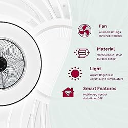 YANASO Ceiling Fan with Light