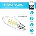SHINE HAI Candelabra LED Filament Bulbs Dimmable 4 watts 5000K Daylight White Chandelier B11 LED Bulb E12 Base Decorative Candle Light Bulb ETL Listed Pack of 6