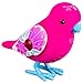 Little Live Pets Bird - Pretty Pearl