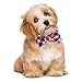 Chiachi Pet Dog Bandana Scarf Pack-SCENEREAL Triangle Bibs Reversible Plaid Printing Kerchief Set Accessories for Small to Large Dogs Cats Pets