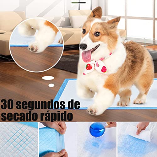 Almohadillas de Entrenamiento Desechables para Mascotas,Almohadillas Desechables para Orinal para Perros ,40 Piezas Súper Absorbentes y a Prueba de Fugas,Grandes 60X60CM,para Perros, Gatos, Conejos