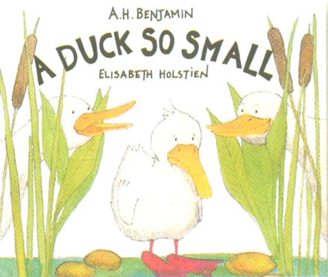 A Duck So Small 0439070368 Book Cover