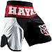 Hayabusa Flex Factor Fight Shorts