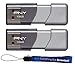 PNY USB 3.0 Flash Drive Elite Turbo Attache 3 Two Pack Bundle with (1) Everything But Stromboli Lanyard (2 Pack) 128GB, Gray