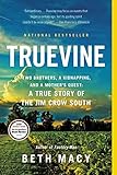 Truevine: Two Brothers, a Kidnapping, and a Mother's Quest: A True Story of the Jim Crow South by Beth Macy