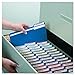 Smead Standard File Folders, 100 Count, Navy, 1/3-Cut Tabs, Letter Size (13193)