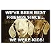 FUNNY ANIMALS postcard set of 20 postcards. Funny animal quotes post card variety pack. Made in USA.