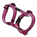 Reflective Adjustable H Harness for Small Dogs; matching collar and leash available, Pink