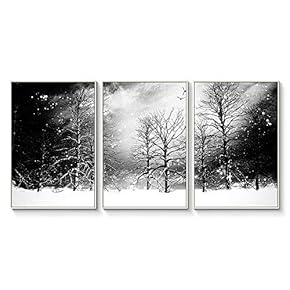 Floating Framed Canvas Wall Art for Living Room, Bedroom Black and White Landscape Canvas Prints for Home Decoration Ready to Hang - 16"x24"x3 Panels