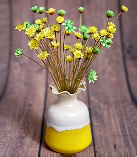 100 Stems Natural Dry Flowers Brazilian Small Star Daisy Decorative Dried Flowers Mini Daisy Chamomile Bouquet for Wedding Floral Arrangements Home Decorations (Autumn Color)
