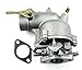 XtremeAmazing Compatible Carburetor Replacement for Briggs & Stratton 390323, 394228 7, 8, 9 HP Engines