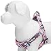 Blueberry Pet 2 Patterns Soft & Comfy Step-in Rose Flower Prints Girly Padded Dog Harness, Chest Girth 20