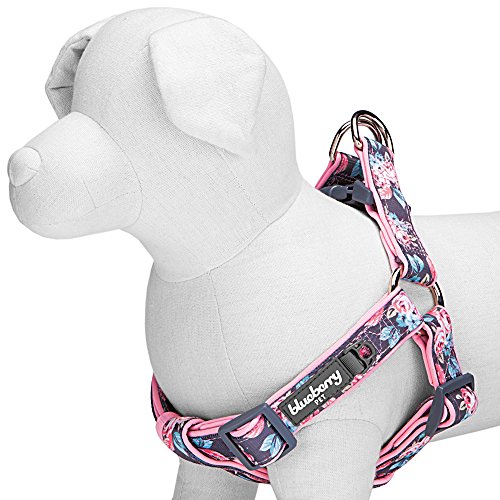 Blueberry Pet 2 Patterns Soft & Comfy Stepin Rose Flower Prints Girly Padded Dog Harness, Chest