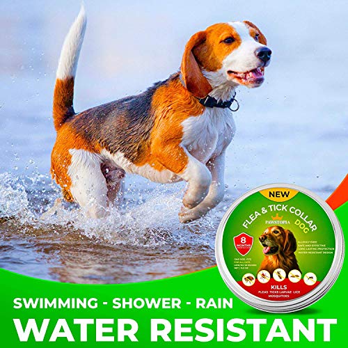 Roofus Pro US Compact Carpentry Square Layout Tool 14in 