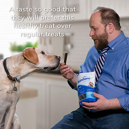 Dog Dental Chews: Rawhide Free Treat Teeth Cleaning Sticks for ALL Breed of Small & Medium to Large Dogs. Brushing Chew Stick Treats Plaque Tartar & Bad Breath. Healthy Pet Food Supplies MADE IN USA