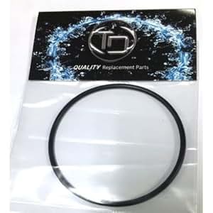 Amazon.com : Hayward CL200 Chlorinator Lid Oring CL200
