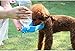 YBHMO Dog Travel Water Bottle, Portable Foldable Water Dispenser Drink Bottle for Outdoors Daily Walks, Run,Hiking, Camping, BPA Free Plastic, 500ml