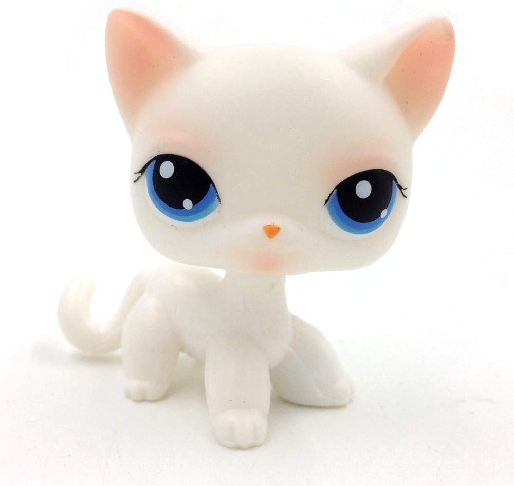 white cat with pink eyes