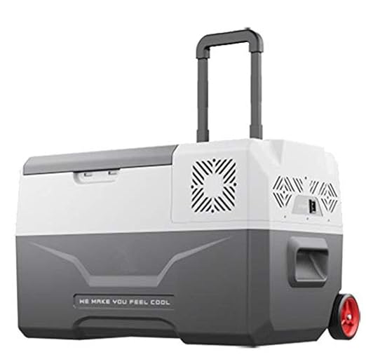 SSLL 30L/40L/50L Nevera Coche con Compresor PortáTil Nevera Coche ...
