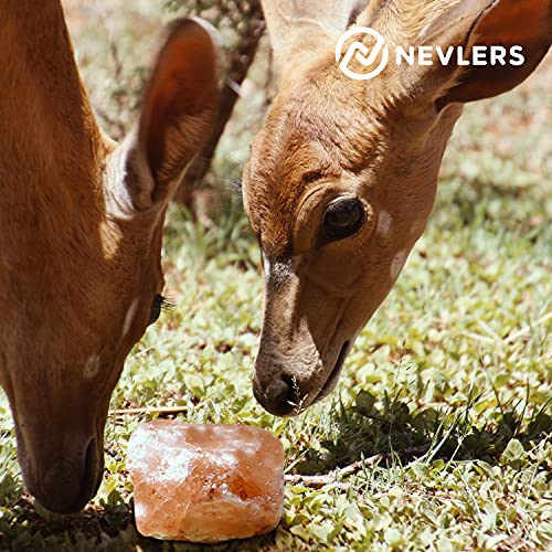 Nevlers 6 Pack All Natural Pure Himalayan Salt Licks for Animals
