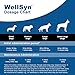 VetWELL Glucosamine Joint Supplements for Dogs - with Chondroitin, MSM, Omega 3s and Probiotics for Mobility, Healthy Skin, Shiny Coat, Digestive and Immune Health, 84 WellSyn Soft Chews